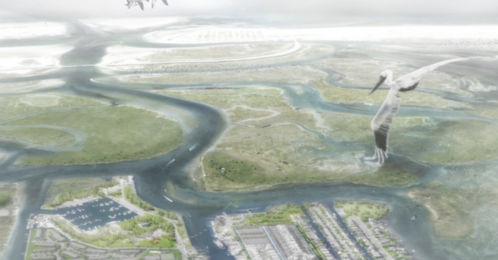 Living with the Bay: HURRICANE SANDY DESIGN COMPETITION REPORT