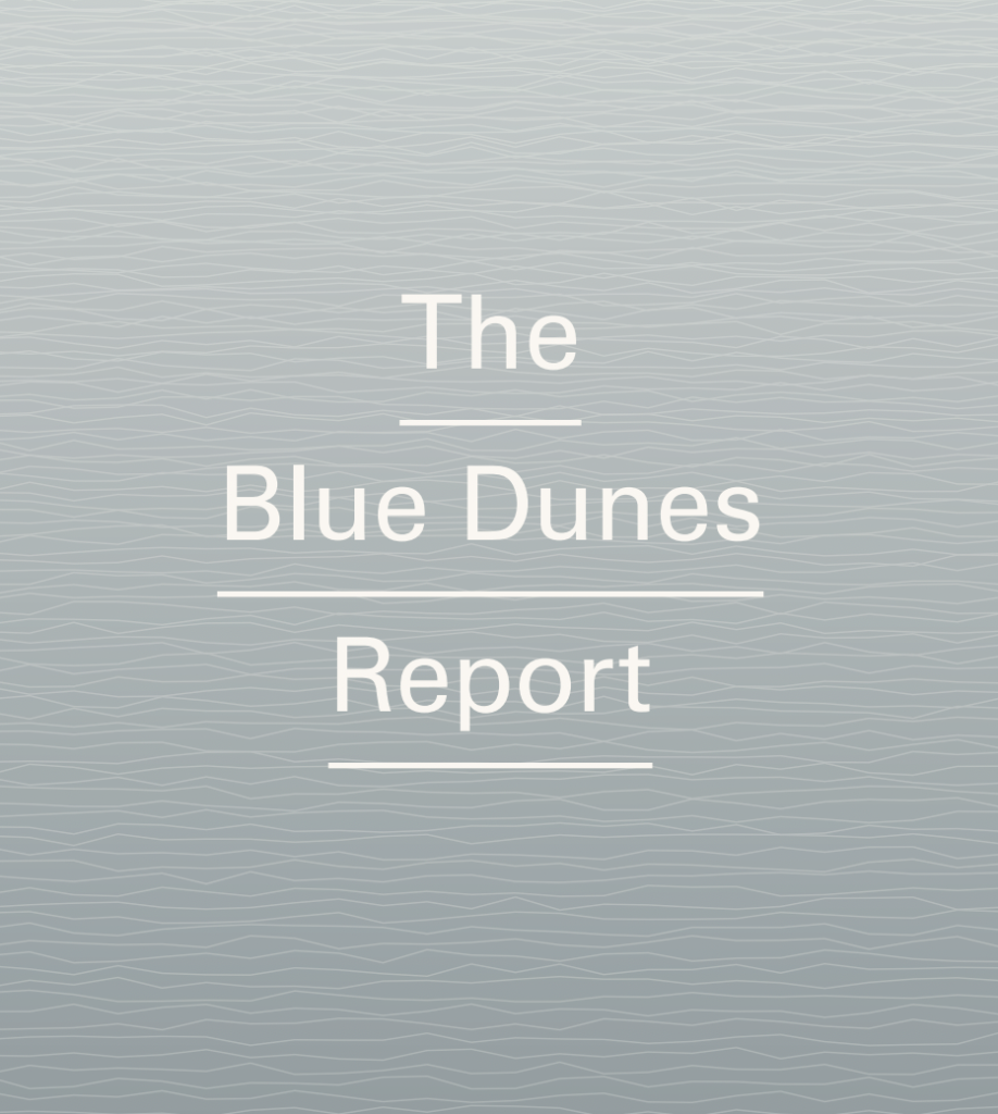 BLUE DUNES: HURRICANE SANDY DESIGN COMPETITION REPORT