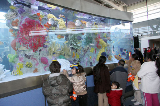 STATEN ISLAND FERRY TERMINAL FISH TANKS WILL GET A MAKEOVER