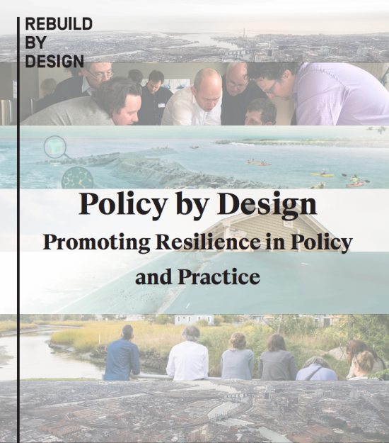 POLICY ROUNDTABLE: PROMOTING RESILIENCE IN POLICY AND PRACTICE