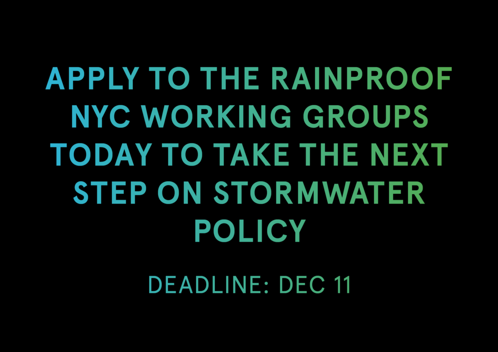 Be a part of a Rainproof NYC Working Group!
