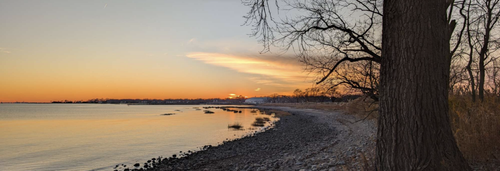 Edith G. Read Wildlife Sanctuary Living Shoreline