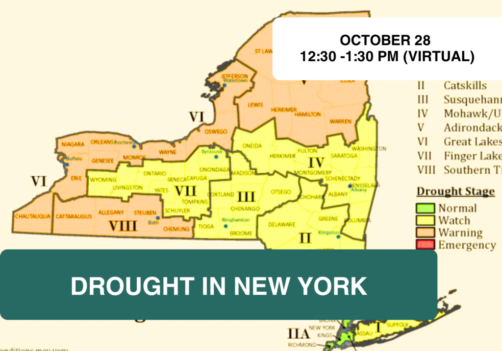 Drought in New York State